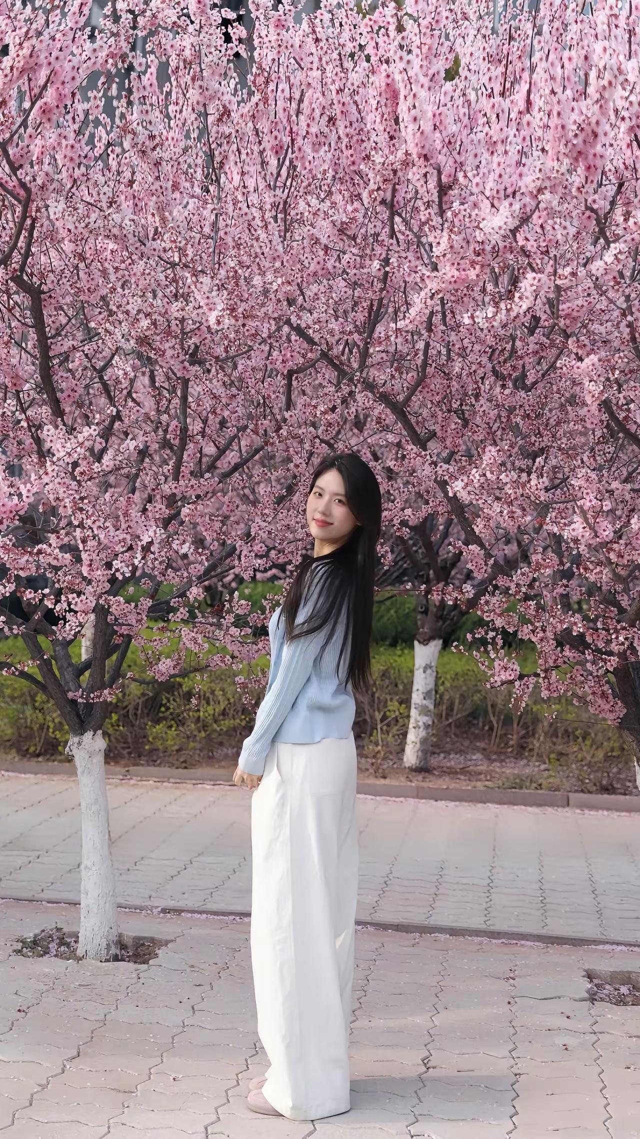 谁懂啊！春日和樱花的适配度直接拉满✨浅蓝开衫配白裤子，一头长发被粉色花海轻