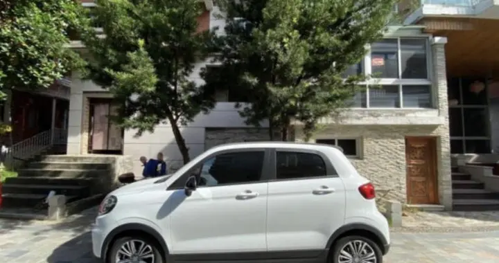 “微型车”冠军车: 在同类车型中一枝独秀, 九个月销售出10万台