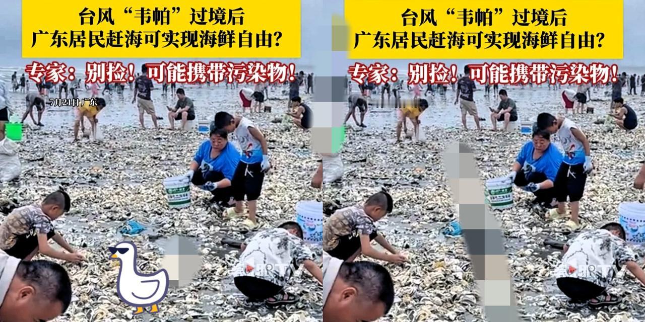 别傻捡了！台风后的“免费海鲜”根本不是福利，是埋了3个坑的“麻烦”！总有人