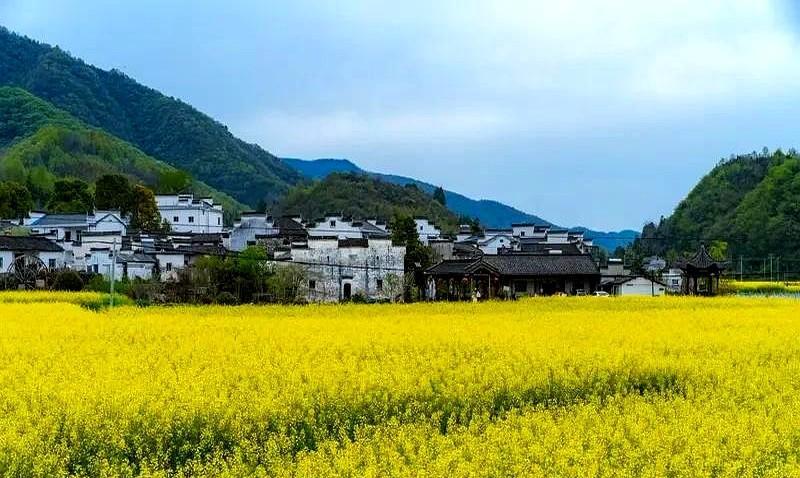 村里有个男人，52岁那年，他的妻子在一家私人厂房干活，出了事故，后来赔了100w