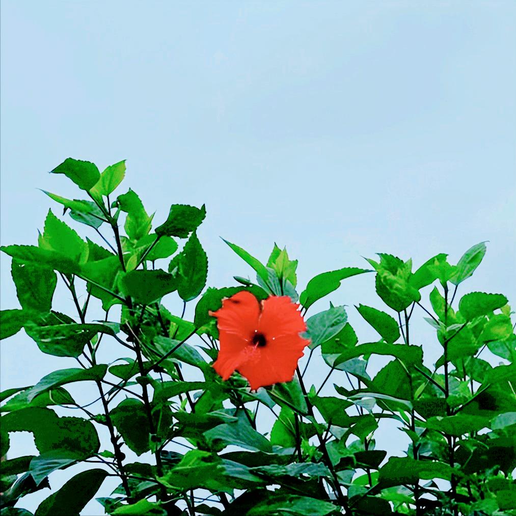 沙特王储兼首相穆罕默德在利雅得这样说 12月14日，穆罕默德在利雅得这样说：