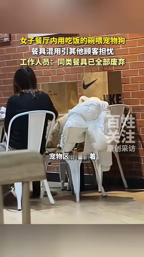 “顾客天塌了！”12月14日，北京，一女子吃饭时，发现邻桌的客人正用盘子给狗喂食