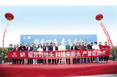 10万亩玉米丰收 通辽“吨粮田”目标实现
