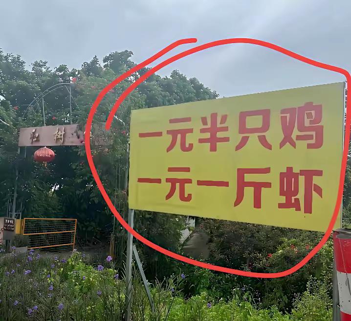 这真的假的这老板不亏本吗