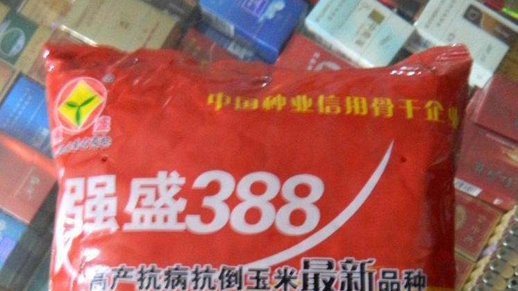 十大玉米种子品牌: 选哪个才能丰收?