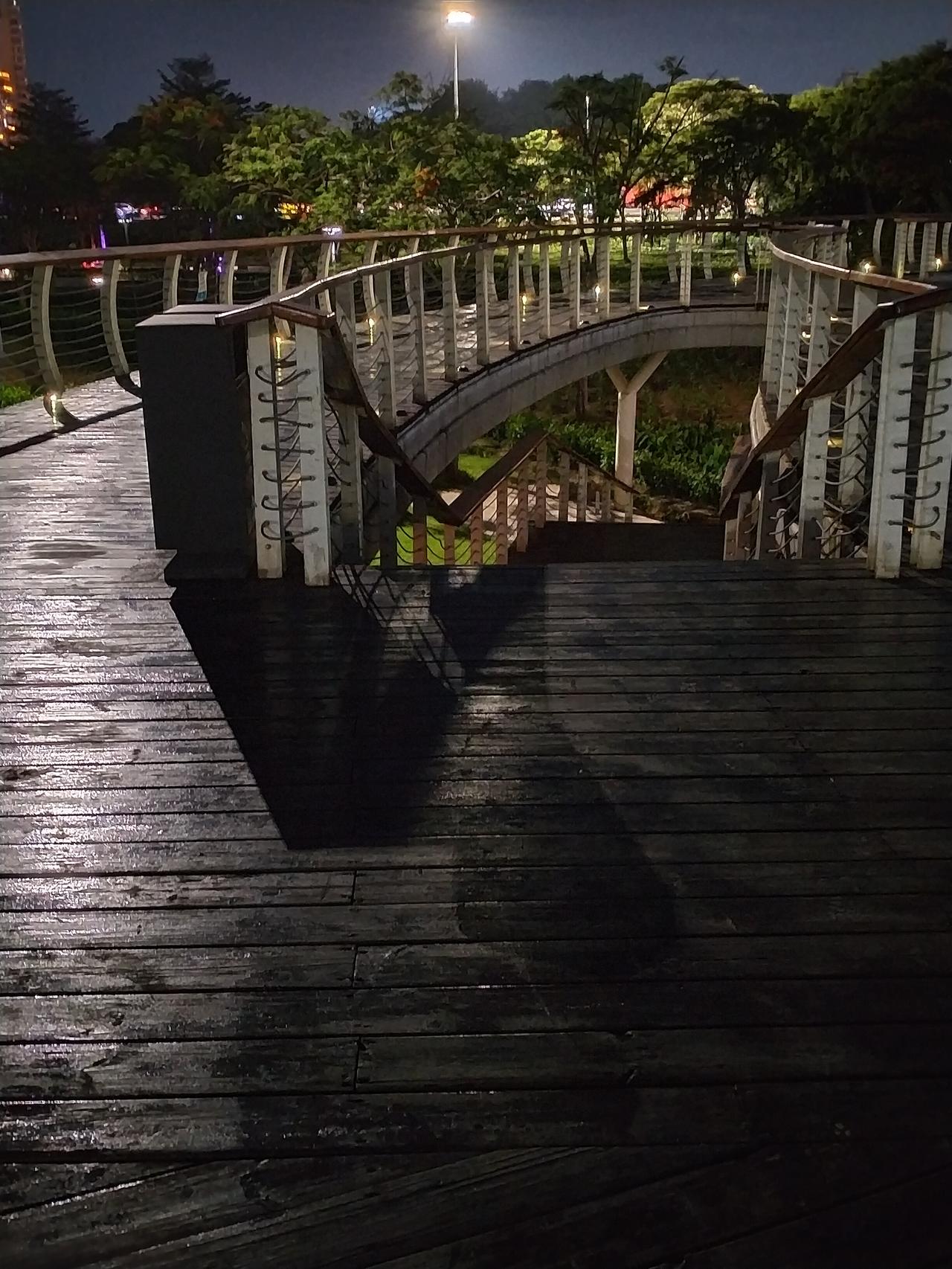 夜幕下的楼村湿地公园，距离楼村地铁站十分钟…