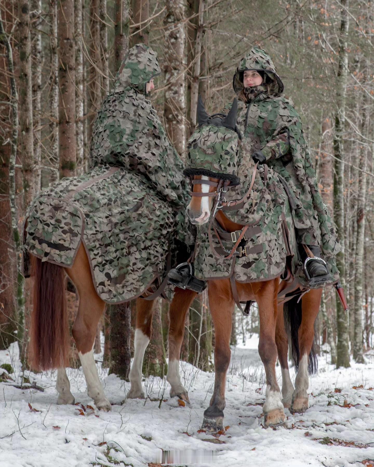 马年大吉瑞士军方向全世界炫耀，他们引进了“多光谱”人马伪装技术。人穿上了斗篷，