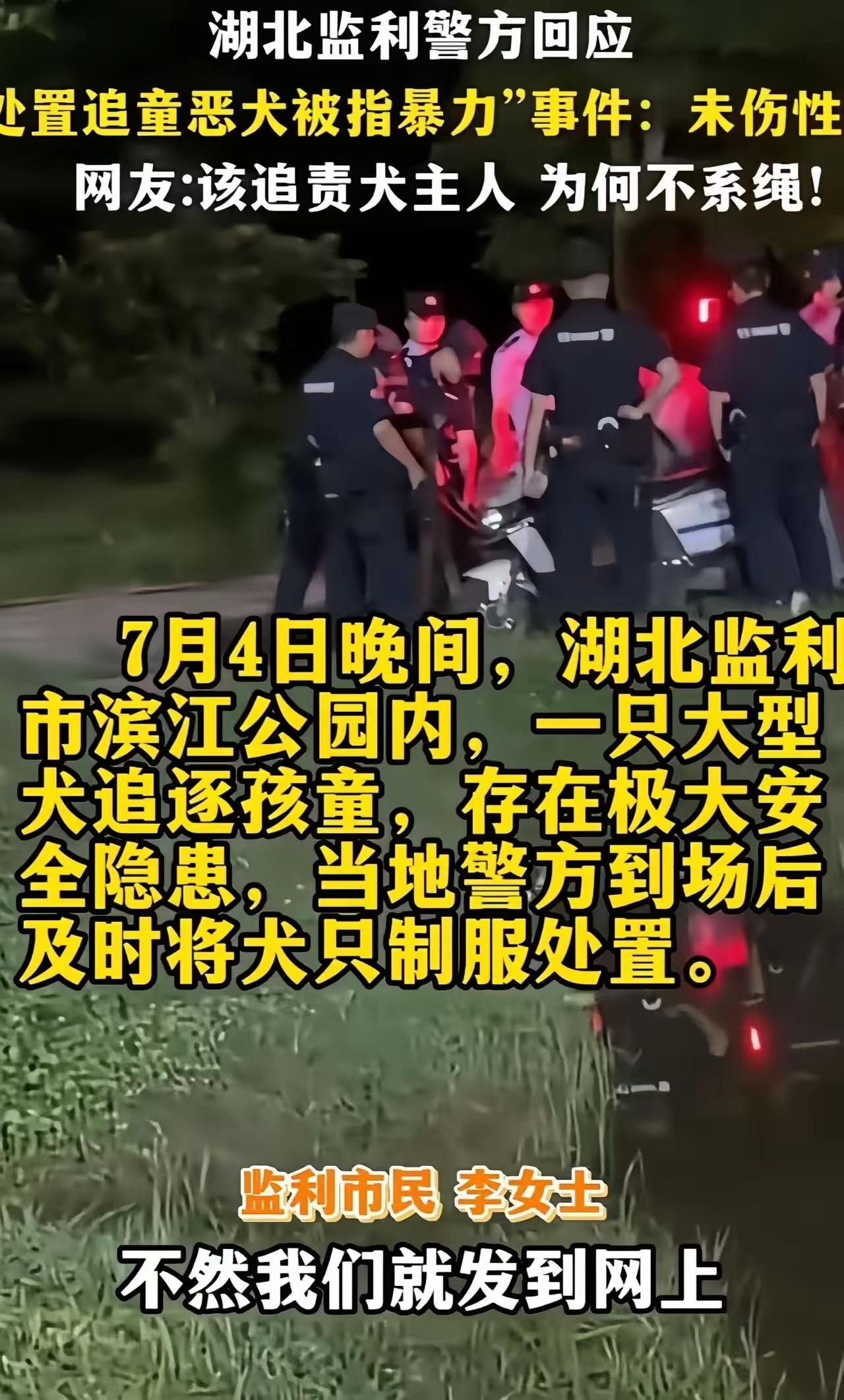人到了中年再看湖北这桩拦警护狗的事，最大的“羡慕”，是有人能活得分不清轻重，