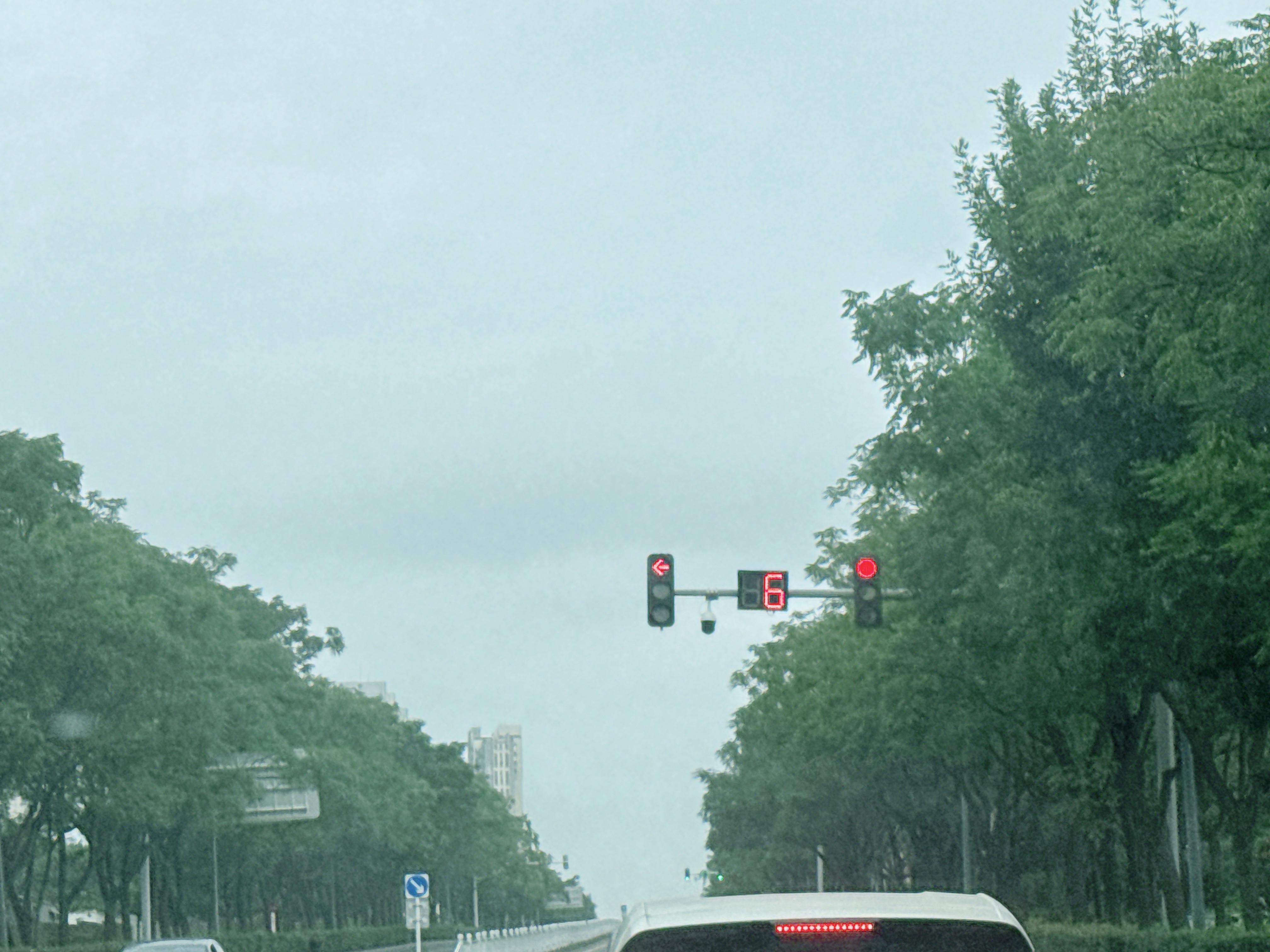 睡不着了！！直接出门去吃早餐了然后吃完去医院查一下甲状腺
