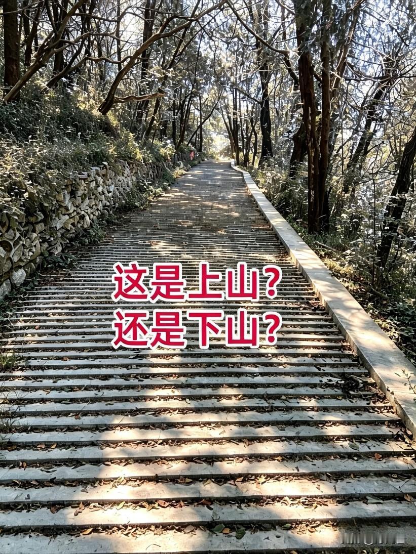 考眼力这是上山还是下山？人眼力测试