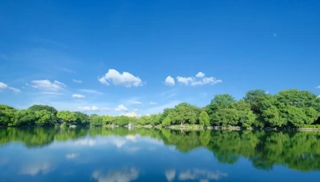 如今这年代，一个家族想要传宗接代，世世代代传下去，真的不容易，有可能传着传着就断
