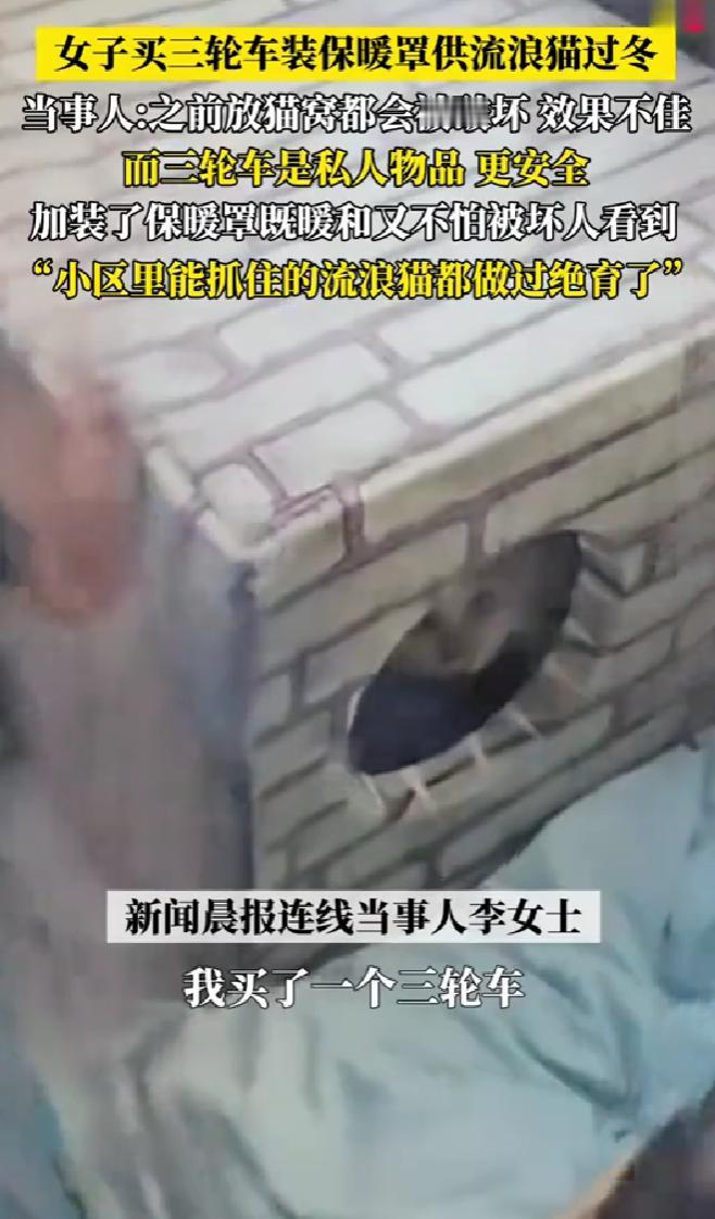 河南郑州，一名女子为了让流浪猫可以顺利过冬，她自己买了一辆三轮车改装保暖罩，直接