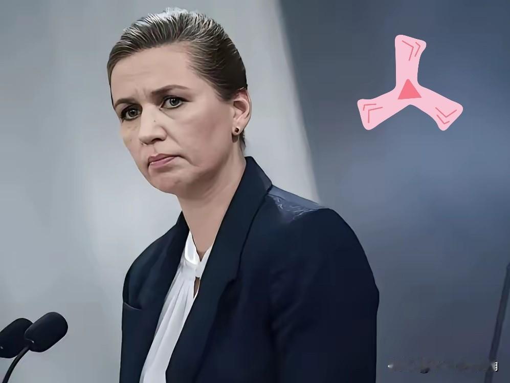 回旋镖来了，丹麦这是“作茧自缚”！谁能想到丹麦也有今天啊！当初把“大哥”请