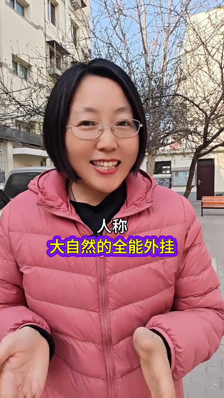 没想到一棵树能承包吃住行。万万没想到一棵树能承包你一辈子的吃喝住用，甚至让您年