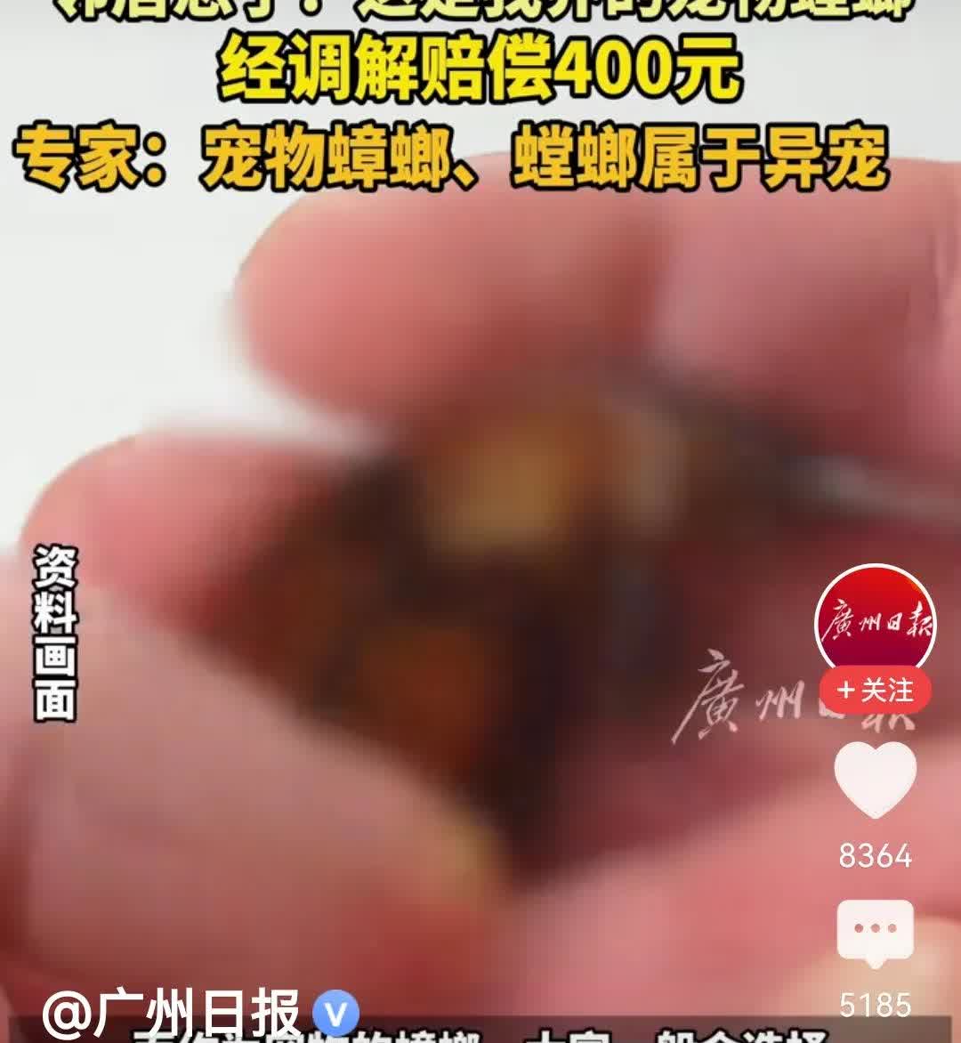 浙江杭州，一男子因为药死两只蟑螂竟然赔了400元，网友直呼看不懂。蟑螂这东西，南