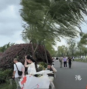 这伞质量怪好的，没有刮翻![吐舌头眯眼睛笑][吐舌头眯眼睛笑]
