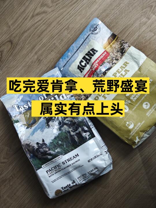 🐾｜吃完爱肯拿、荒野盛宴，属实有点上头