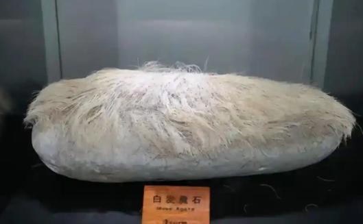 1987年夏天，辽宁人田恩宏去青岛海边游玩，夏季的海滩十分的惬意，在熙熙攘攘的人