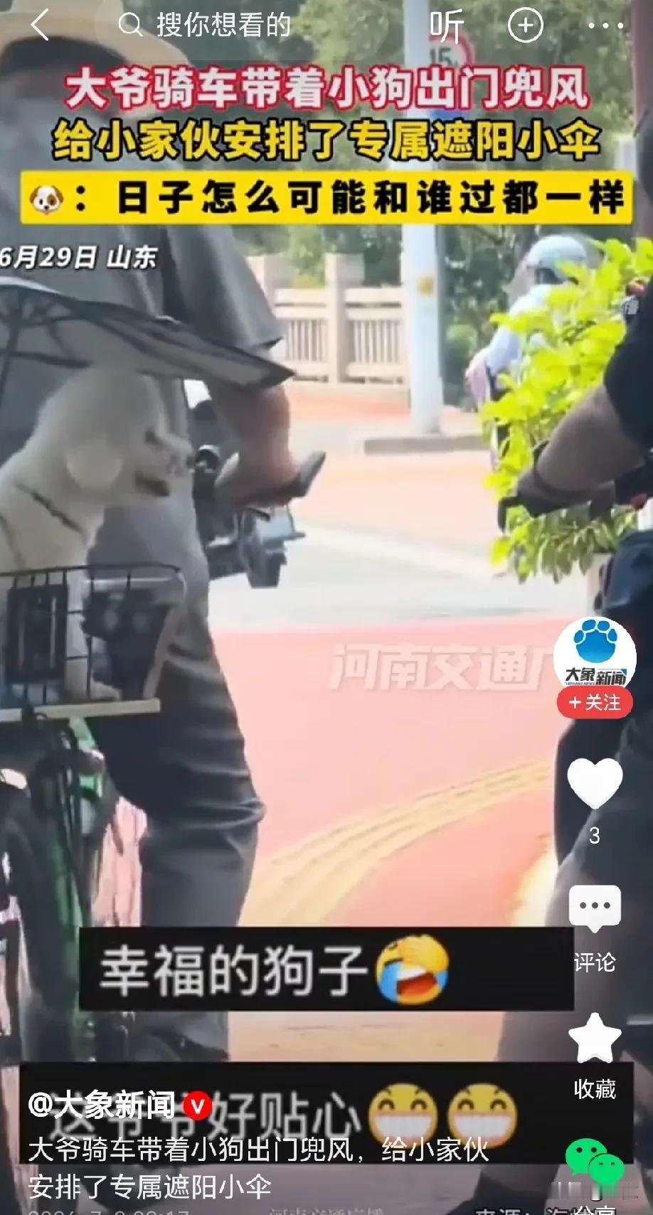 山东，大爷骑车出门，后座的篓子里坐着自家小狗，防止小狗晒太阳，大爷特意给小家伙安