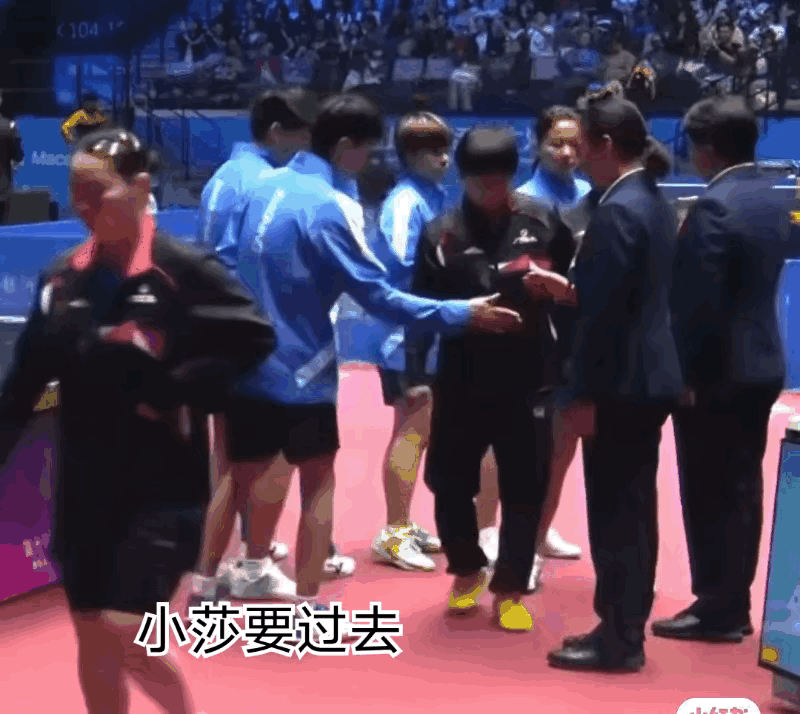 太可爱了，辽宁队和裁判握手，拦住了莎莎的去路，小莎原地小碎步！看来猫猫真的是只走