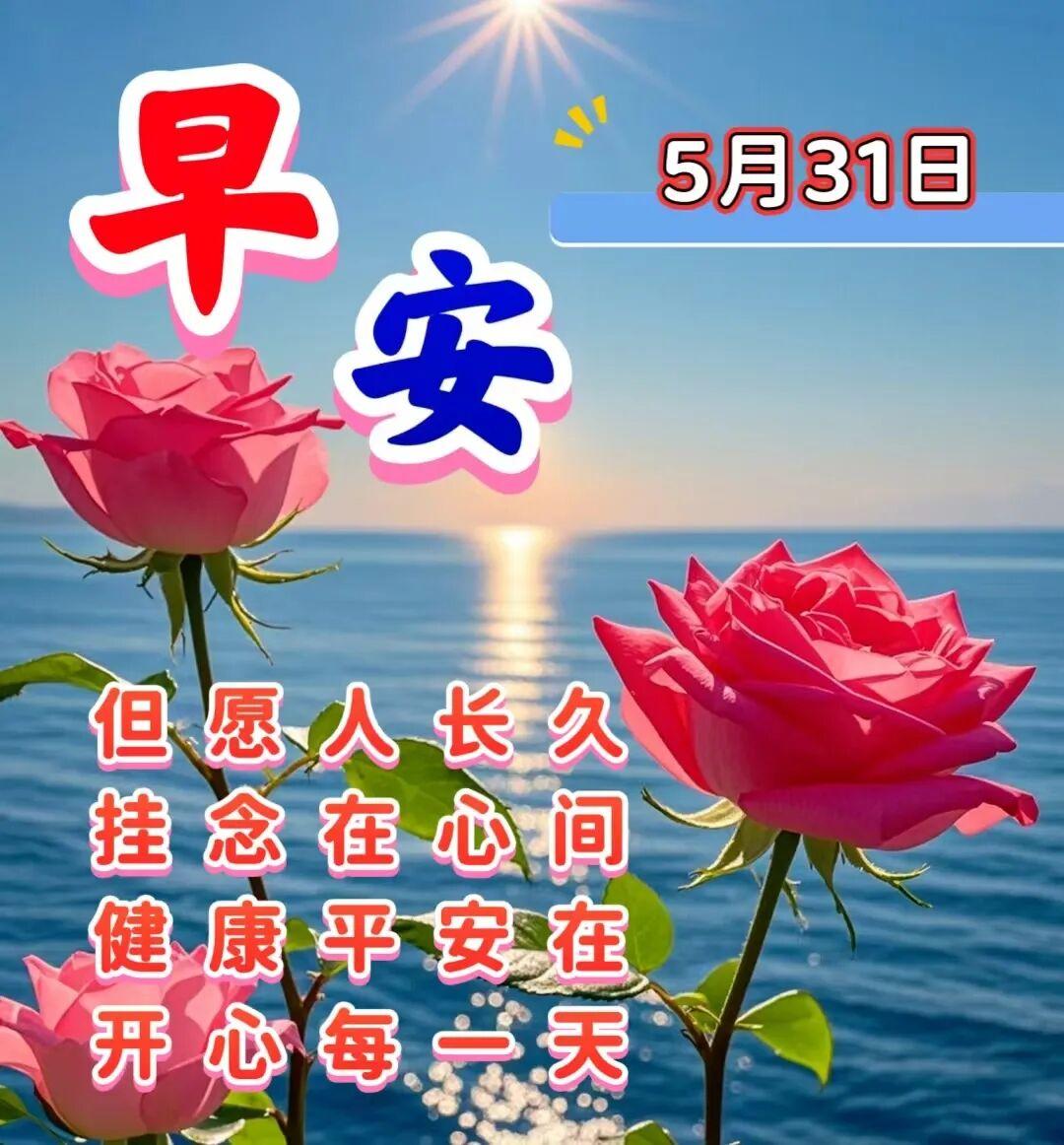 轻轻地一声问候，融入了所有的心愿；淡淡的一句祝福，倾注了无限的真诚。人生是一道风
