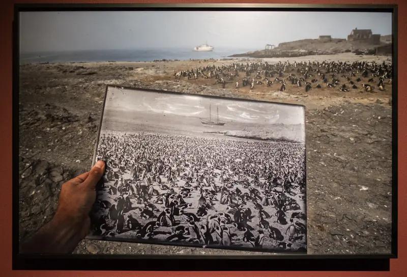 美军发起“斩首行动”俄“机毁人亡”普京下令：美军8日无人机袭击也门马里卜省，