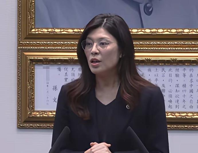 郑丽文3800亿+N方案被否？蓝白确定军购7800亿！5月8日，蓝白达成共识
