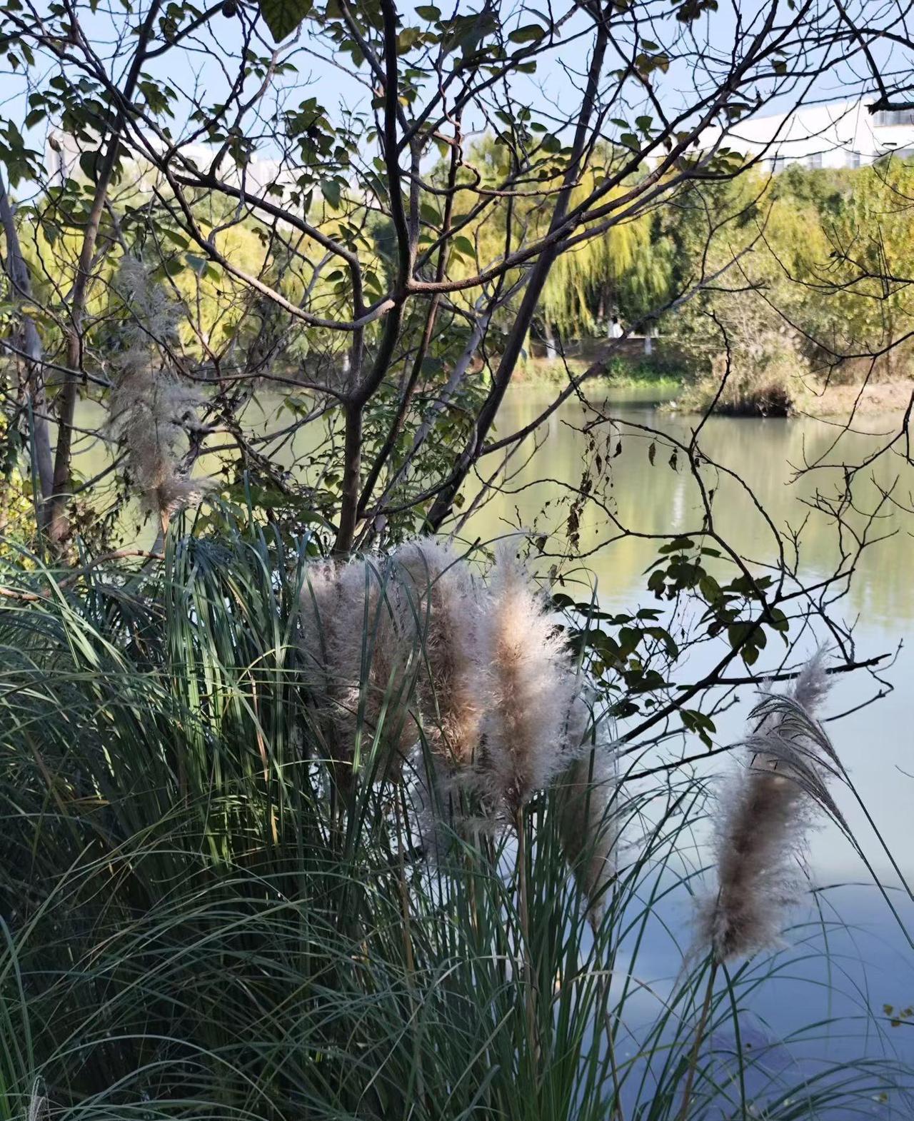 同事与老公离婚了，一个人带着孩子过。离婚那天，她摸着肚子里刚满三个月的二胎，