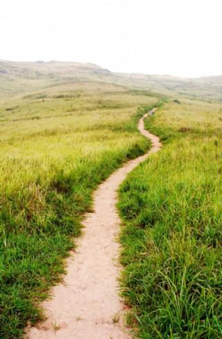 人生之路在脚下，有平坦，有坎坷，只要坚毅前行，就能达到胜利的彼岸！