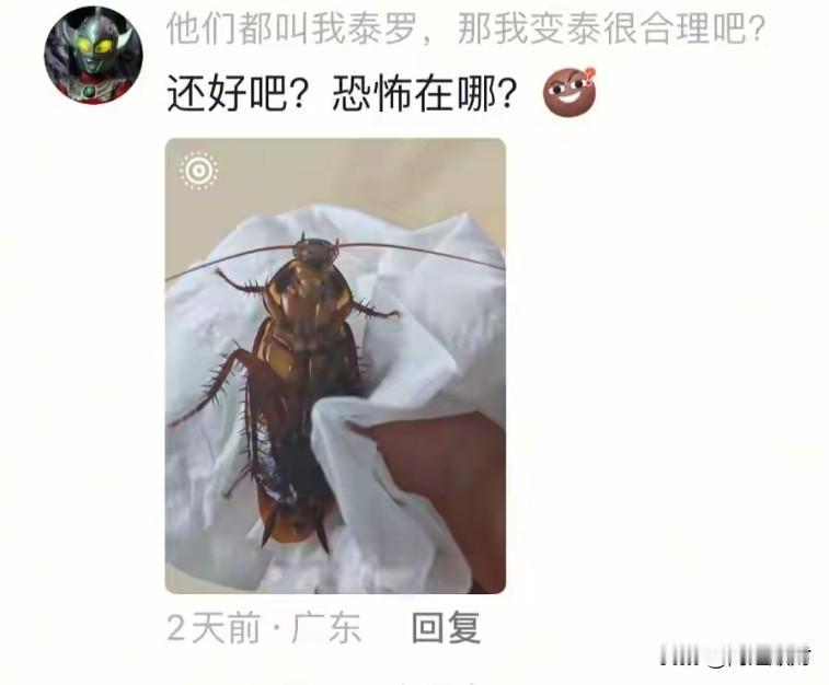 我不相信南方的小强能这么老大。这是我看广东网友发出来的图片，真的把我给惊讶到了