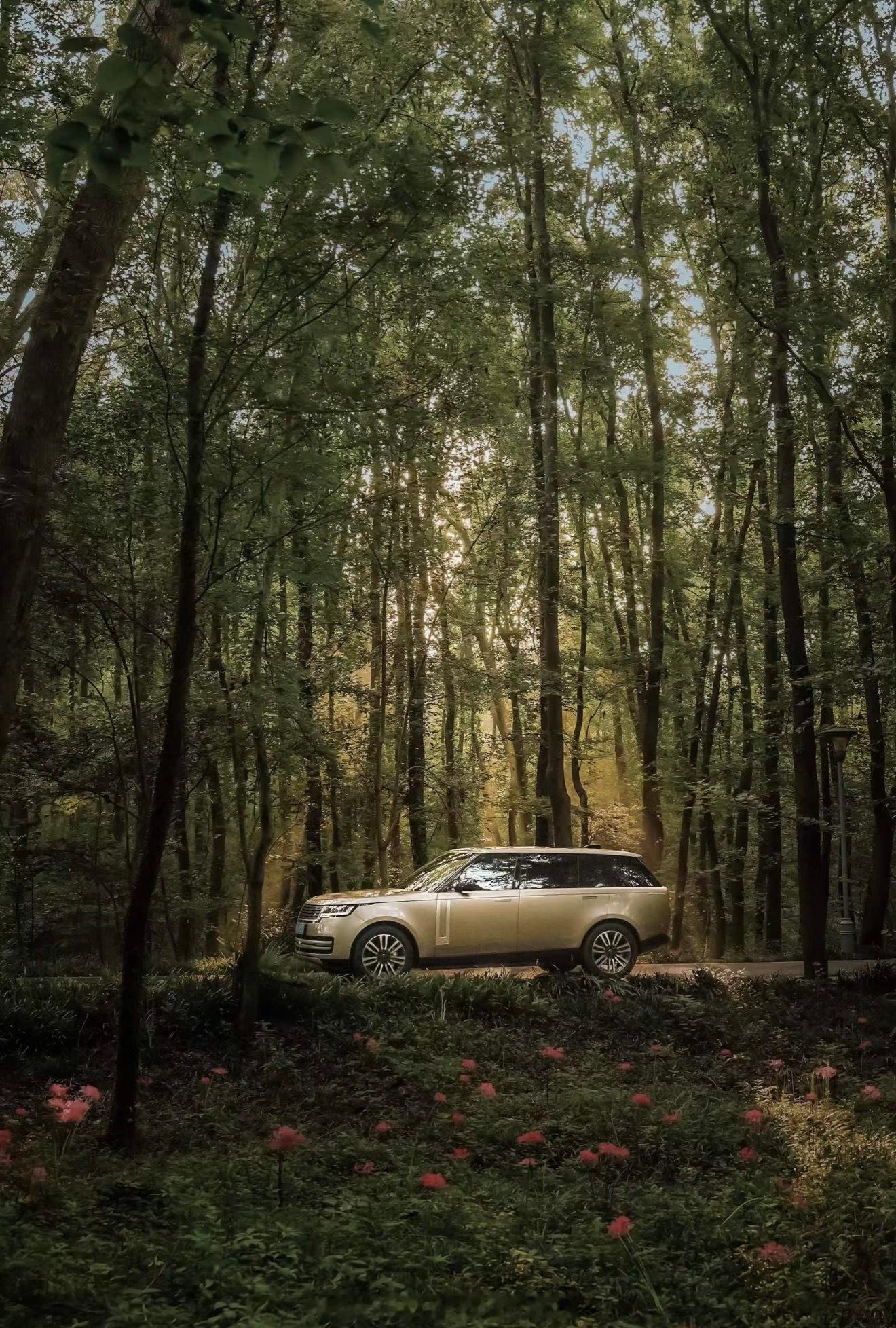 交易是长期试错的过程交易本质上是一场关于试错的修行。它不追求精准预测，而是在不确