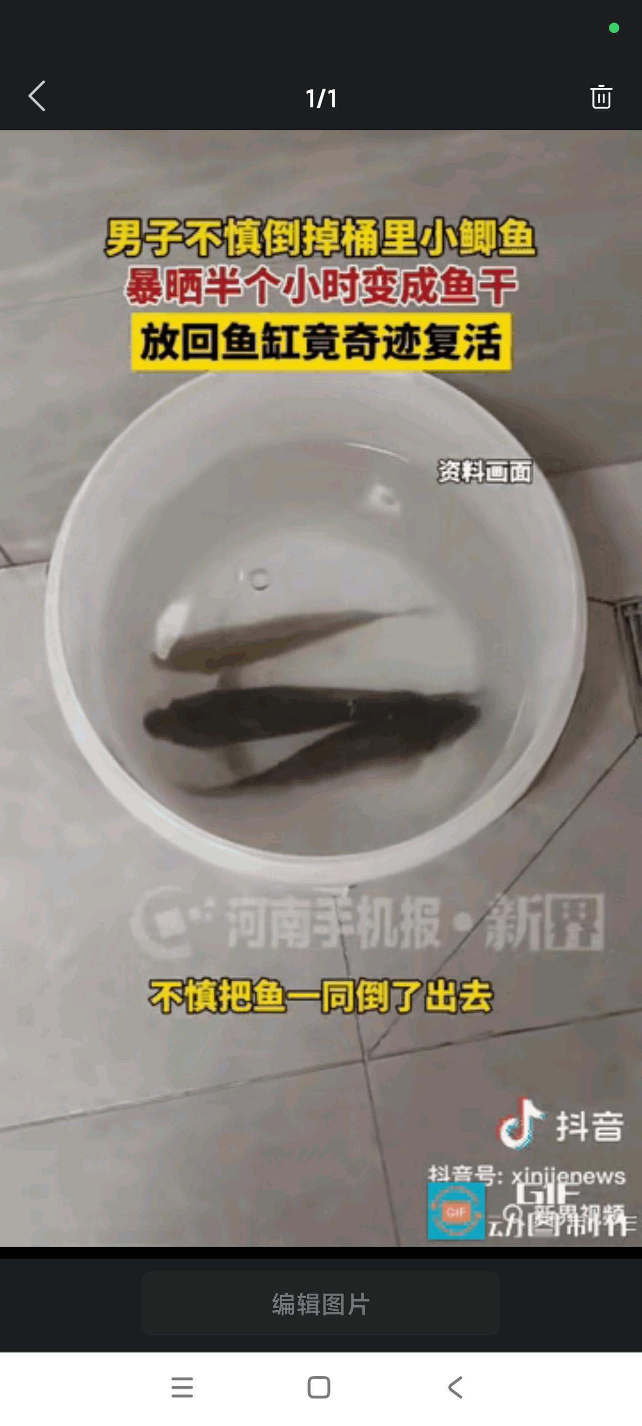 “解释不清了!”河南一男子倒水时忘记桶里有条小鱼，一同倒了出去，等他反应过来时