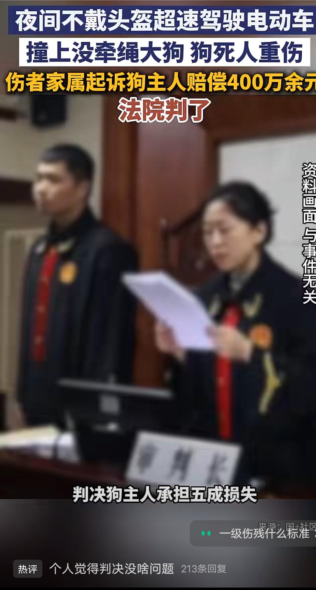夜间不戴头盔超速驾驶电动车，撞上牵绳大狗狗死人伤，法院判了！深圳的李某骑电动车
