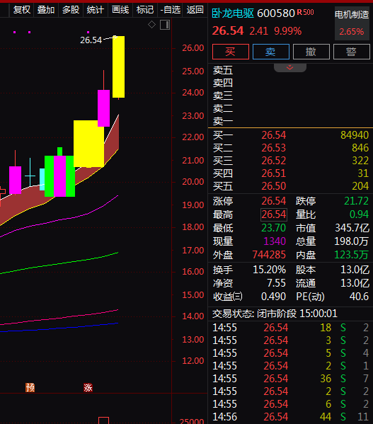 热门个股解读——卧龙电驱（600580）