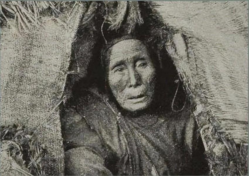 1950年，清剿湖南6万残匪的军长杨梅生路过小镇，见一乞丐老太酷似亡母，派警卫去