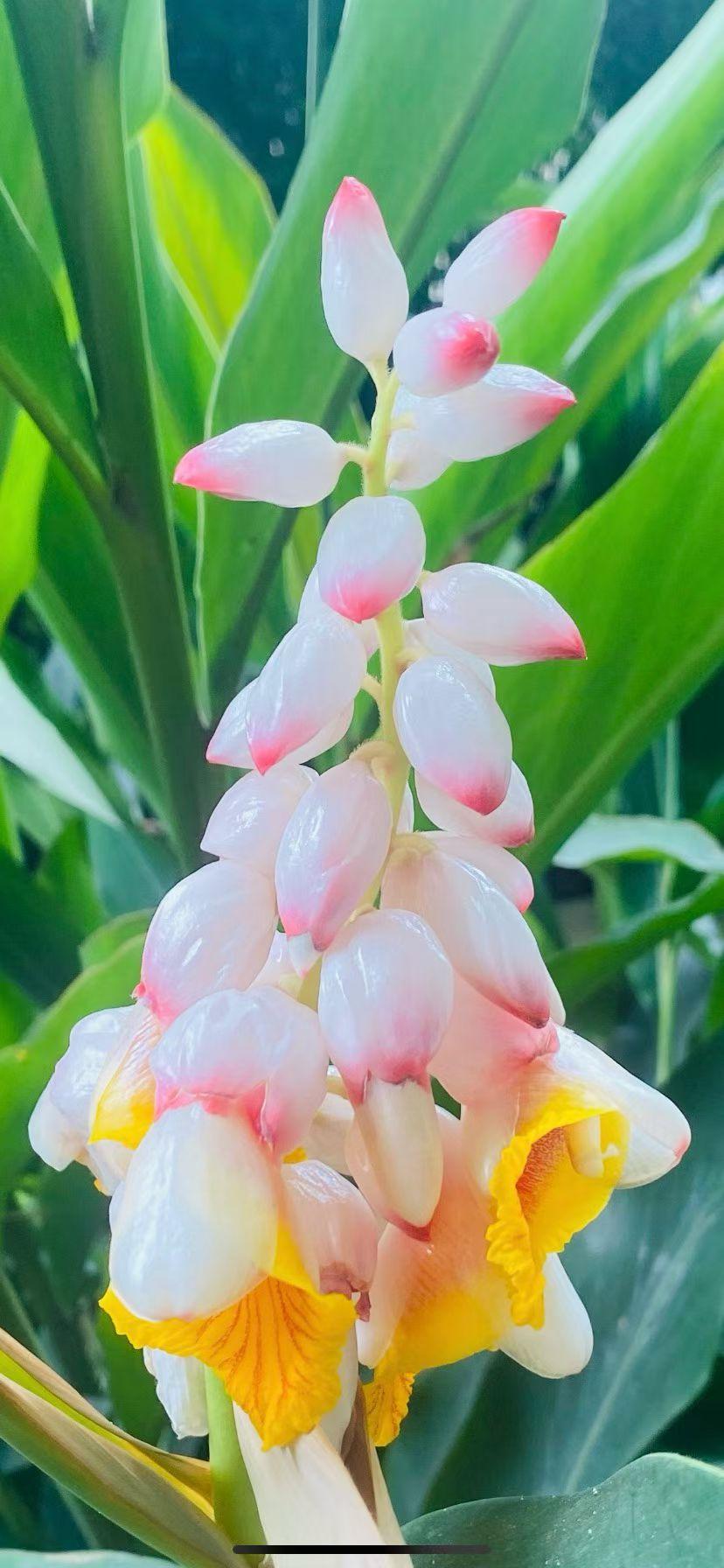 人生这一辈子，说白了就是一场慢慢醒悟的过程。最扎心也最真实的道理，大概就是：别指