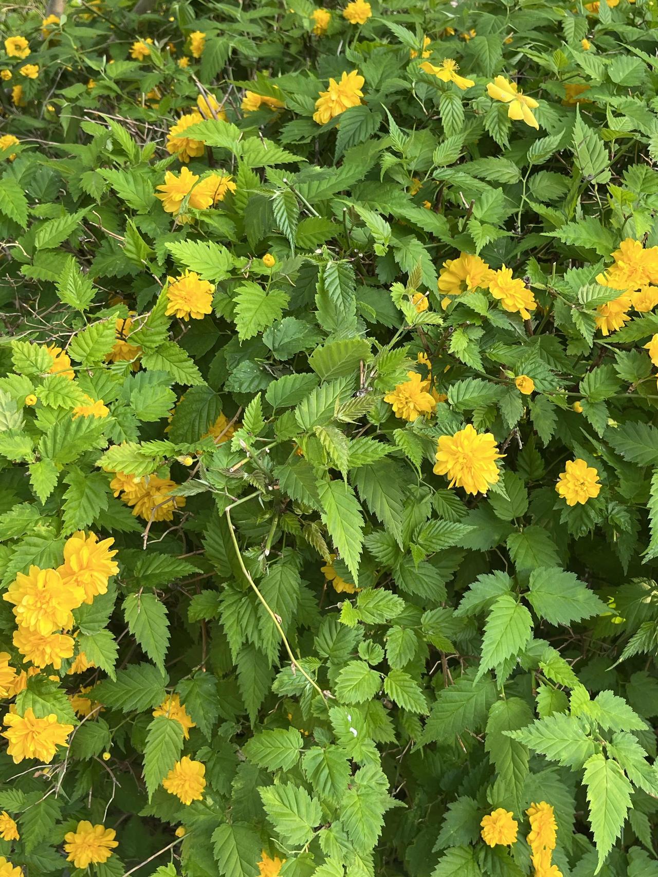 昨日（4月18日），北京二手房妥妥的周末行情：一低一高！月累计网签量可达1.5万