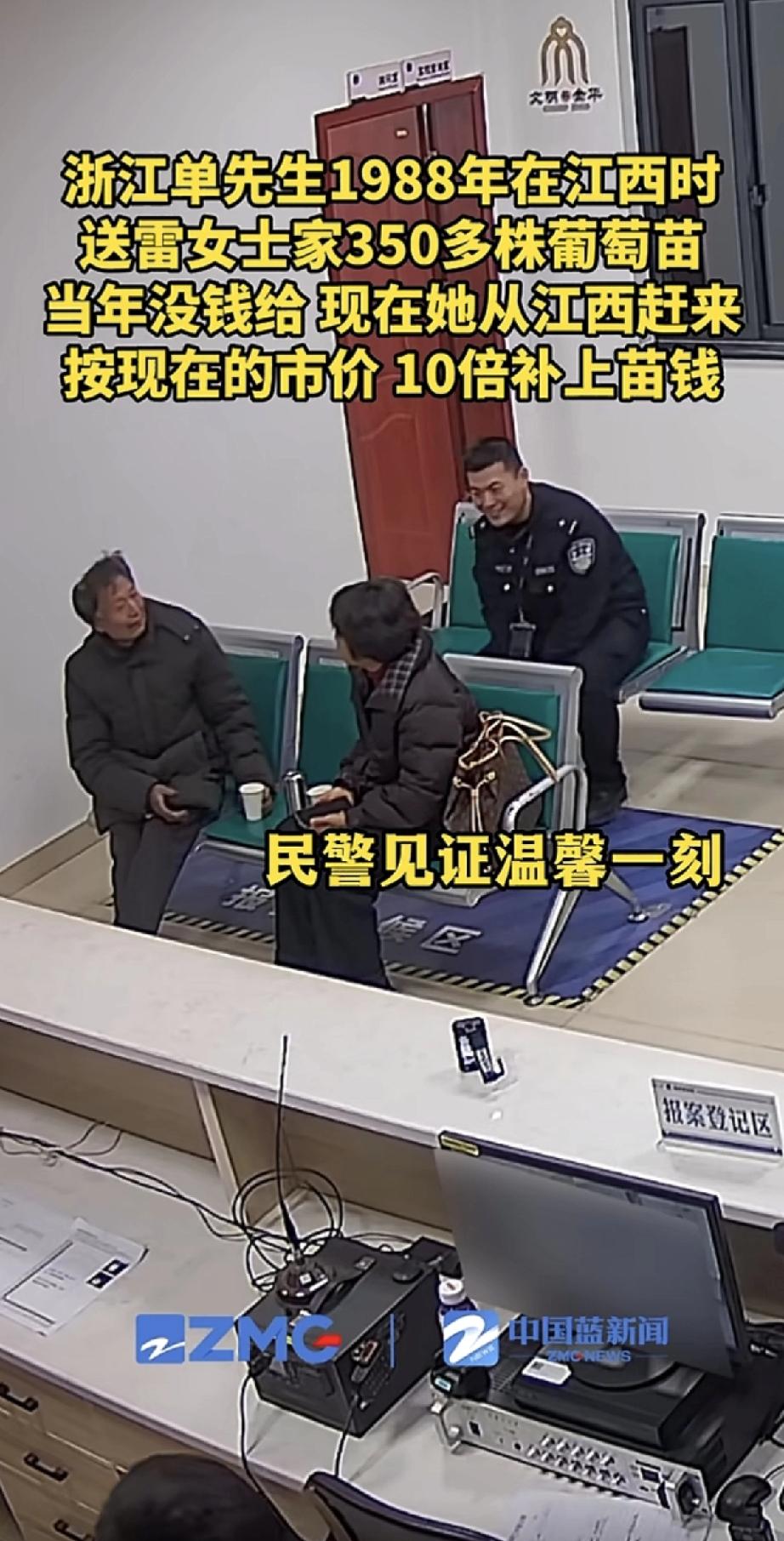 1988年，浙江的单先生在江西的时候，给雷女士家送过350多株葡萄苗。那时候大家