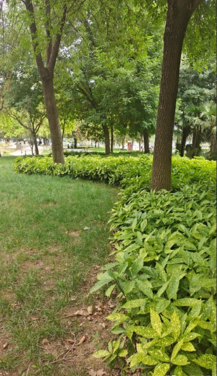 当初堂妹执意远嫁，还说什么“现在高铁和飞机那么便利，我想啥时候回来还不是你们一句