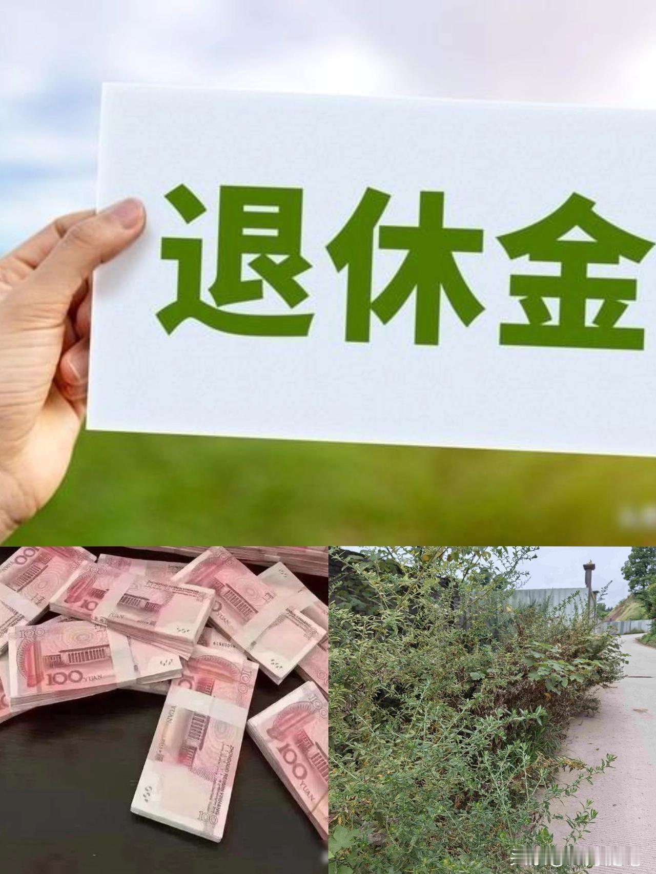 老妈2020元退休金，花38800元买了15年工龄，涨了16年工资才到2千！