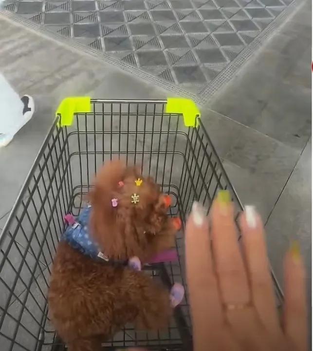 终于弄明白了为什么这次大家几乎一边倒支持胖东来事情是这样的。女子推着购物车，