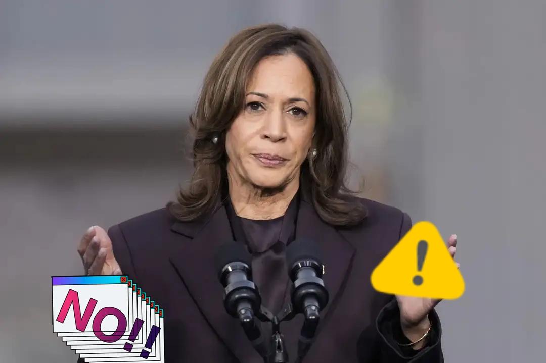 美国前副总统发表声明了！当地时间1月3日，美国前副总统、前民主党总统候选人哈