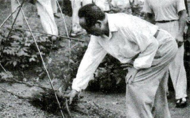 1950年4月14日，十八年前破坏毛主席祖坟的凶手龚澍被执行死刑，临刑前，他哭着