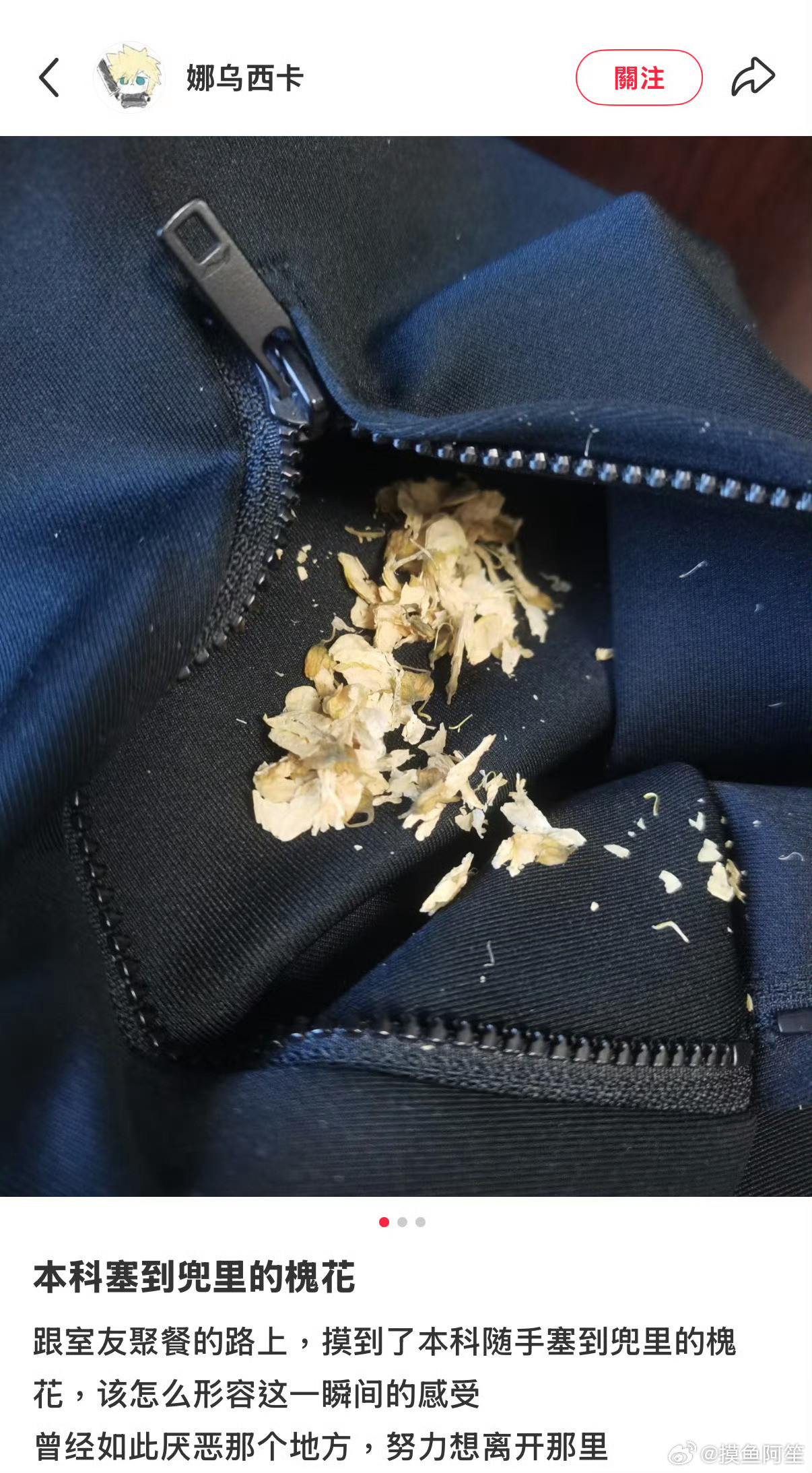 我就不会有这种故事发生了……放进衣柜的衣服怎么可能不洗啊[捂脸哭]所以只会有洗成一