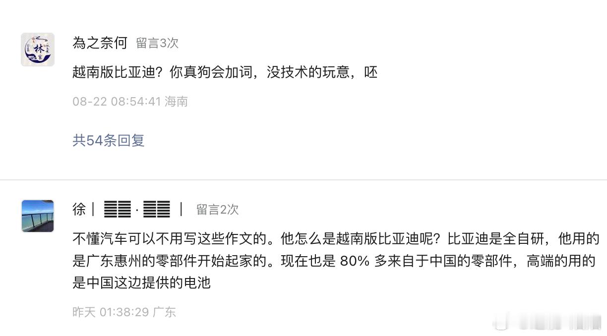 跟大家分享个小故事，我们写了越南市场的分析，其中有句话是VinFast本身就是越