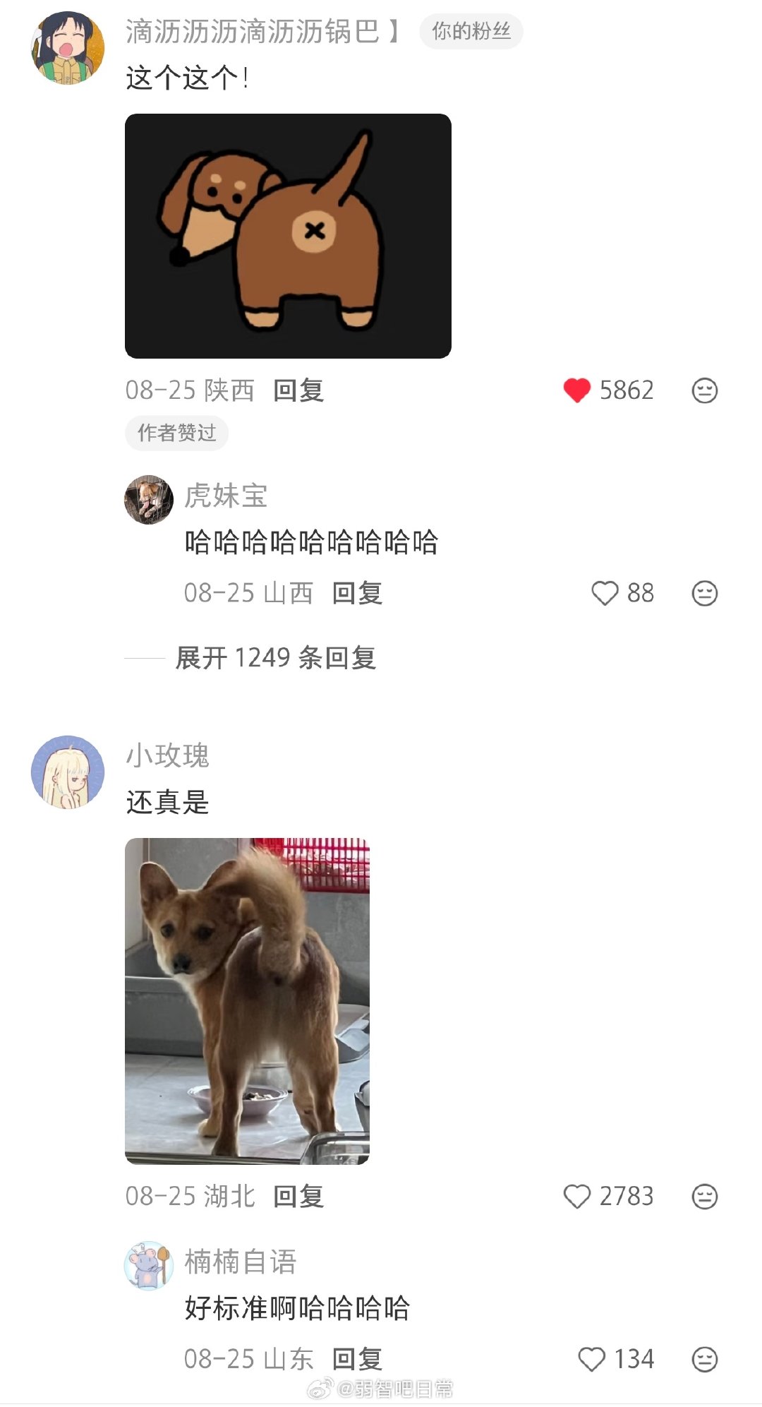 “响”字是小狗回头展示屁眼儿​