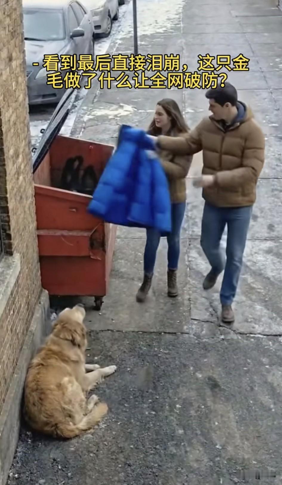 泪目了！一只流浪狗一直过着风餐露宿的生活，偶尔也会有好心人投喂它，特别是一位拾荒