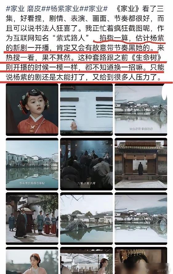 围剿杨紫新剧的，竟不是老对家，而是她下一部戏男主的粉丝。据说，《生命树》和《家