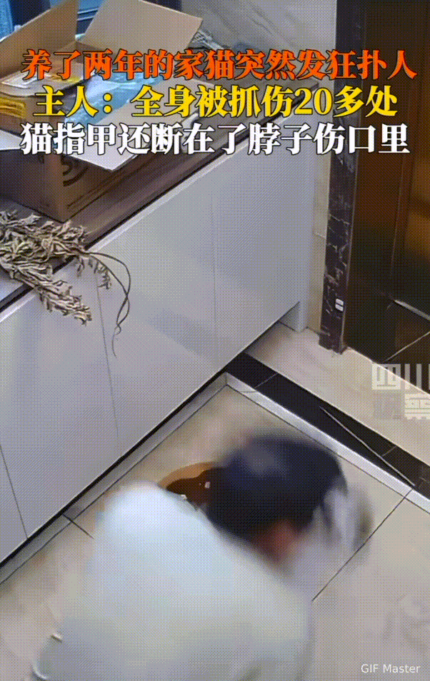 “养不熟的白眼狼！”武汉，男子闲来无事，蹲地上逗自己家猫，没想到，猫却突然扑了他