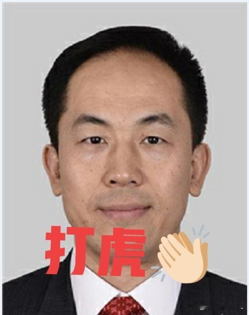 5月13日，云南反腐❗一个反腐消息在怒江州传了开来，“洪维智”被查了，于是看了